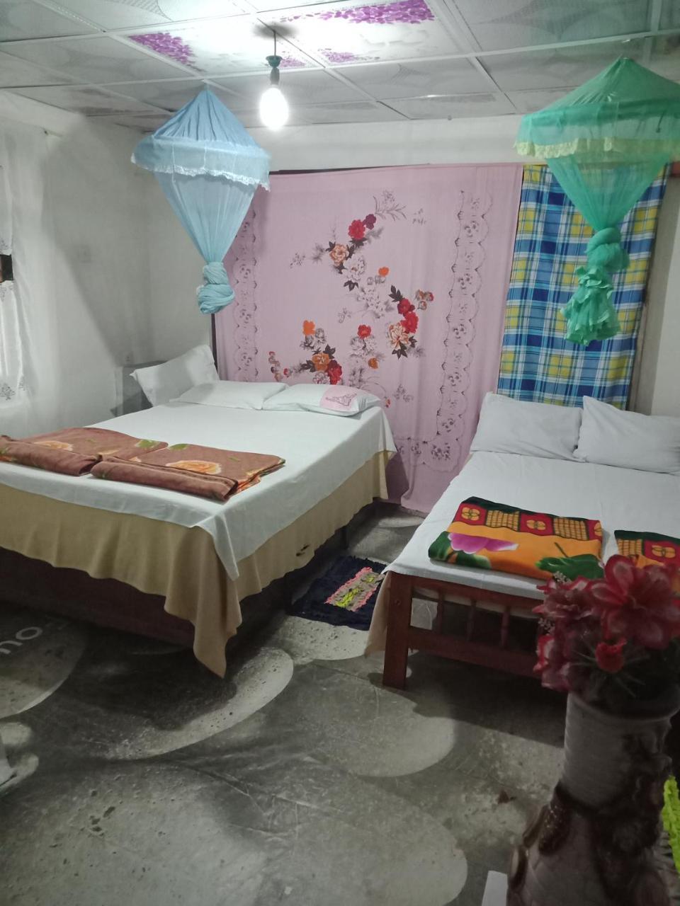 Damsen Homestay Ела Екстериор снимка