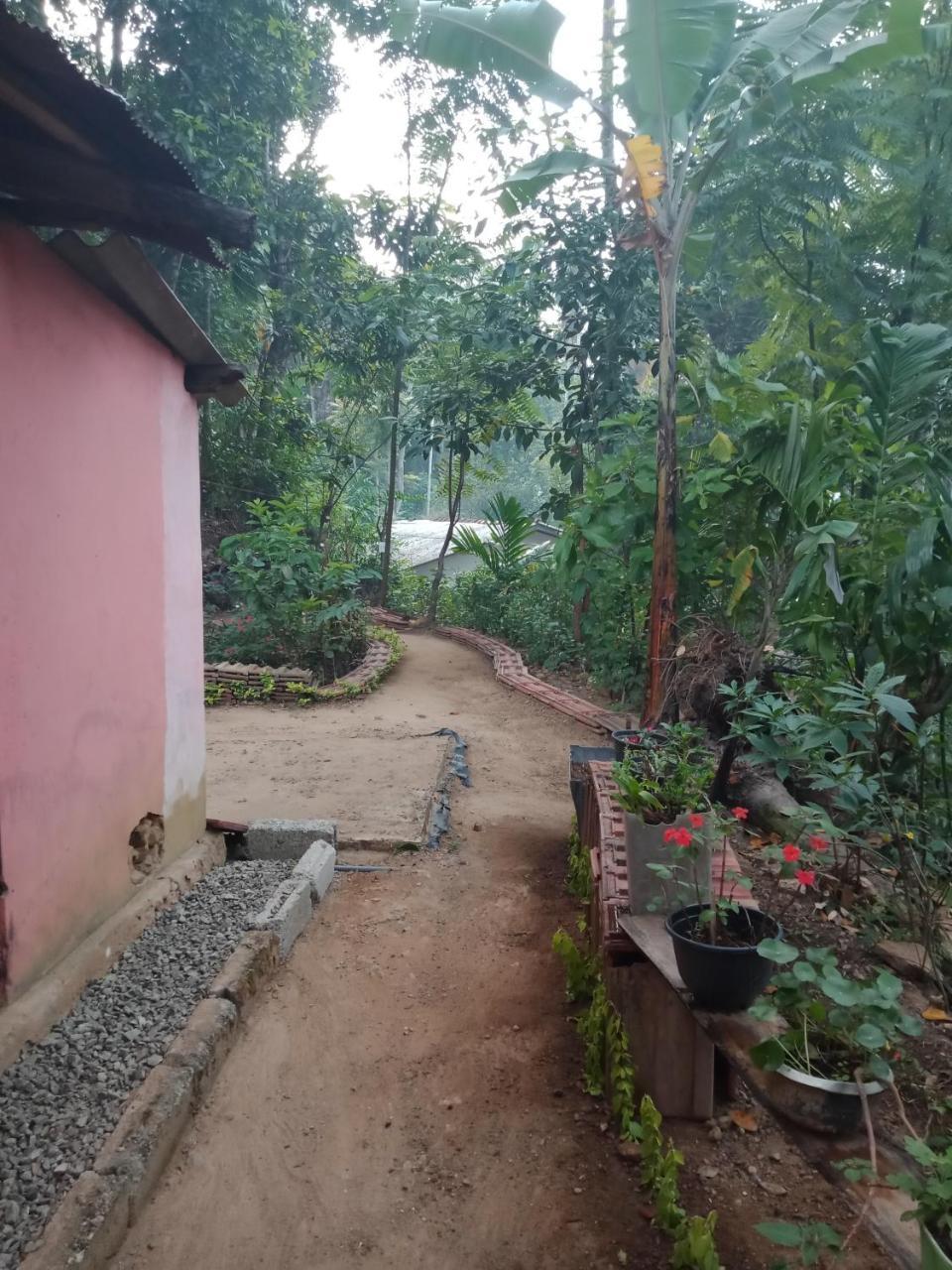 Damsen Homestay Ела Екстериор снимка