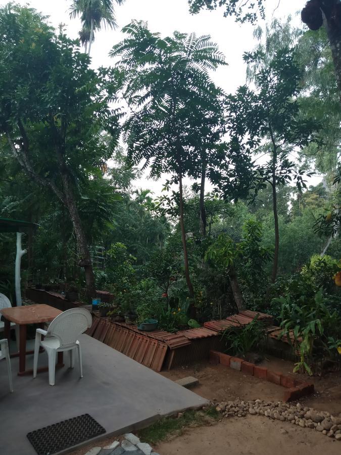 Damsen Homestay Ела Екстериор снимка