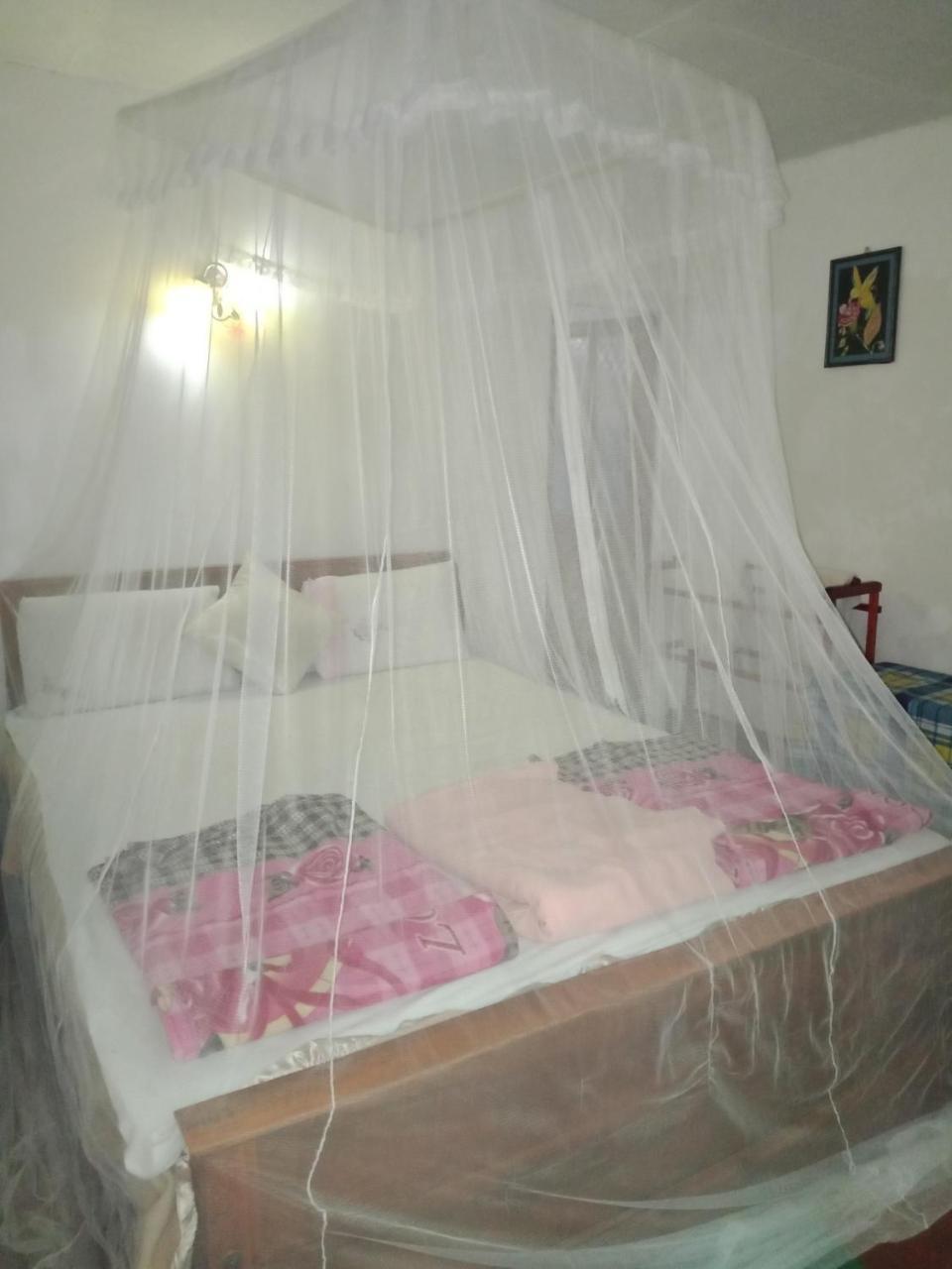 Damsen Homestay Ела Екстериор снимка