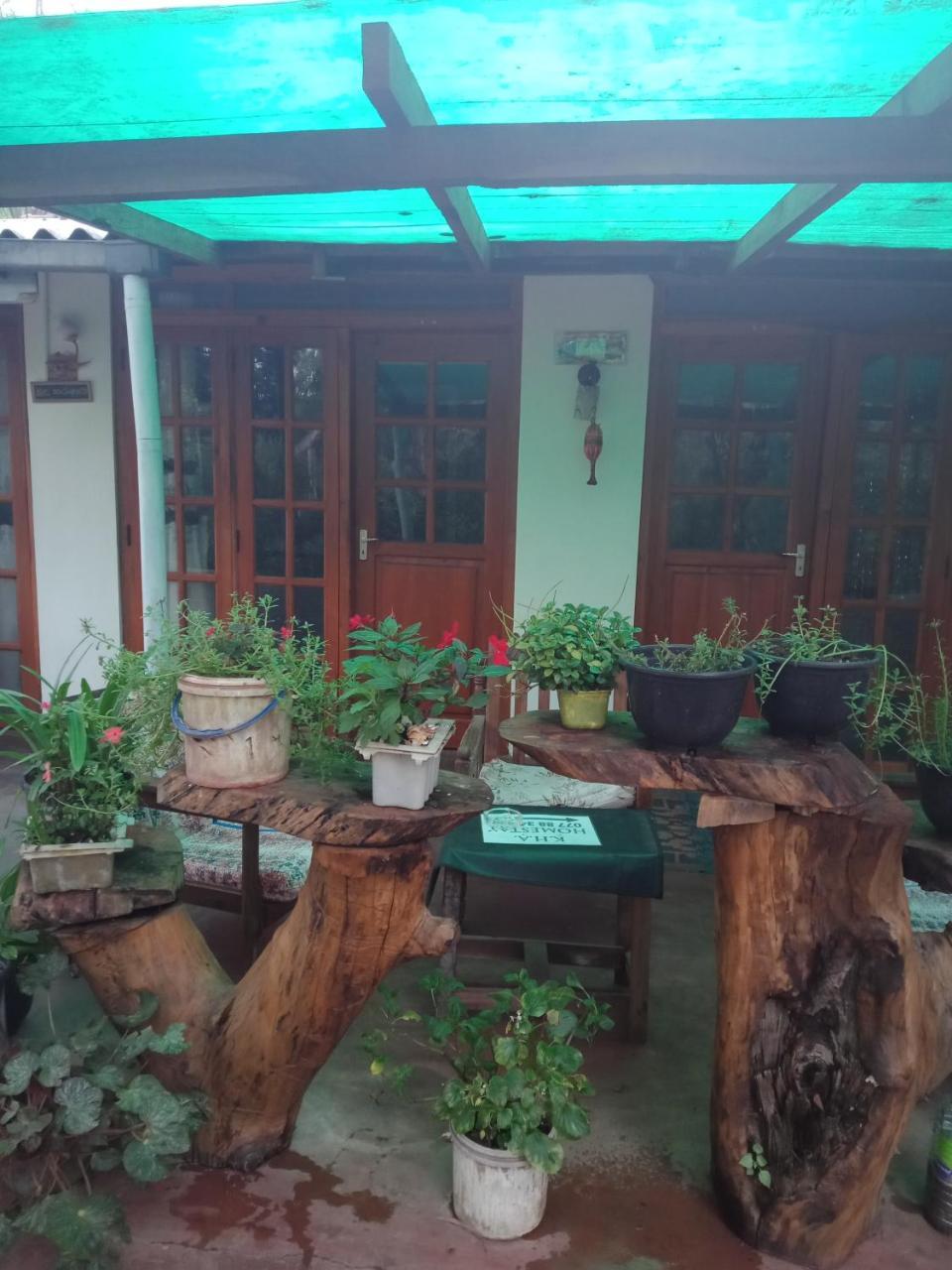 Damsen Homestay Ела Екстериор снимка